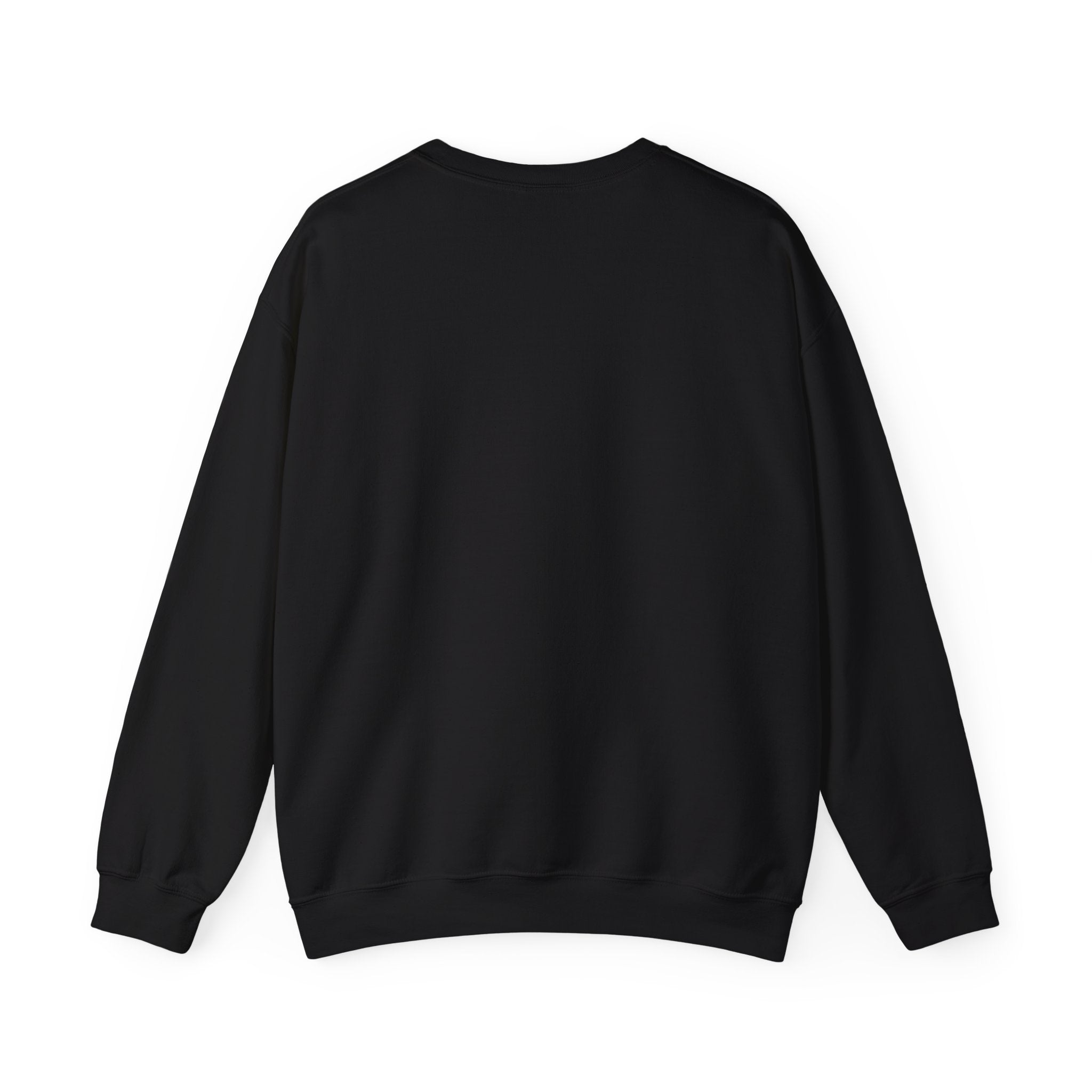 Men’s Graphic Sweatshirt